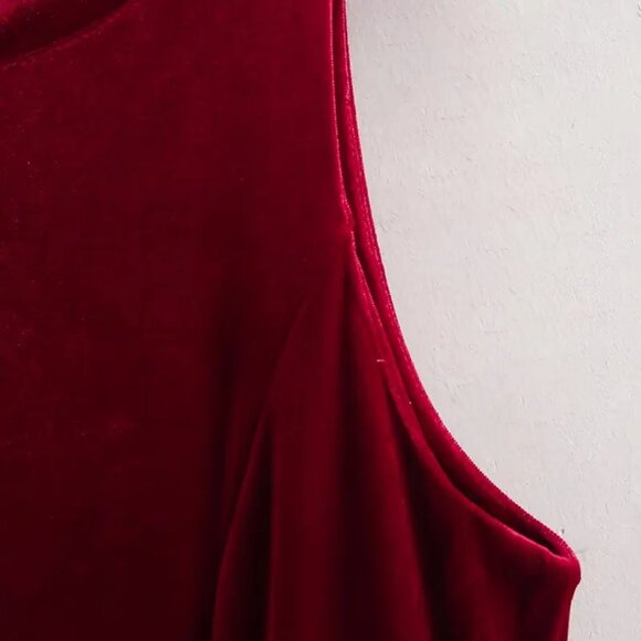 Crimson Velvety Bow-Knot Hem Dress - Picture 5 of 6